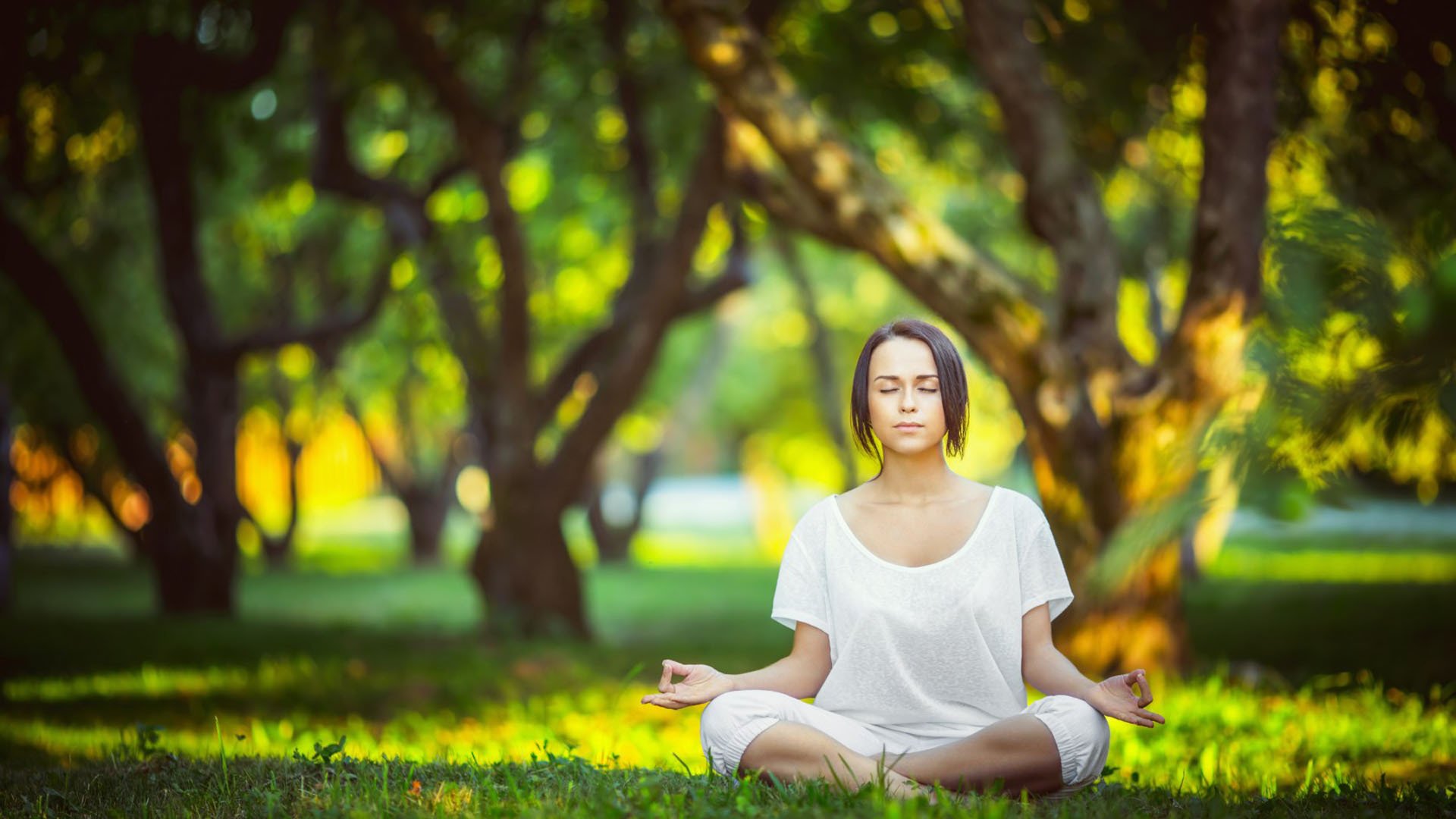乐动网址-跨界风云,猛龙亚冠悬念、塞维利亚德甲备战与罗马葡超争议